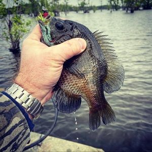 Meet your Posher, Derek